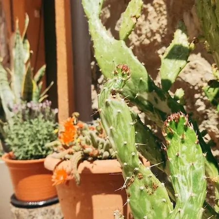 Daire Casa Leo Encanto Rural Con Gran Terraza En