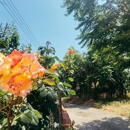 Casa Leo Encanto Rural Con Gran Terraza En Apartamento