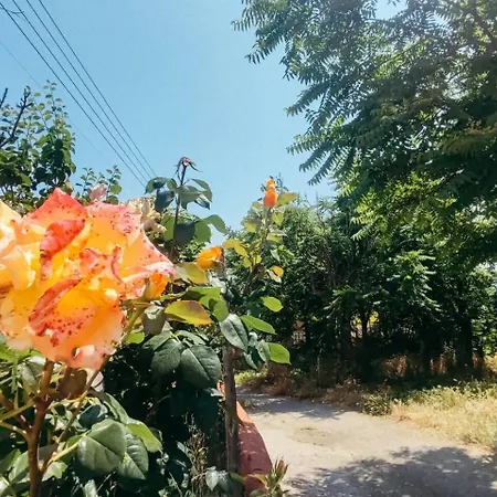 Encanto Rural Con Gran Terraza La Puebla De Castro