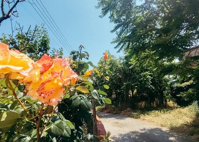 Casa Leo Encanto Rural Con Gran Terraza En Apartamento