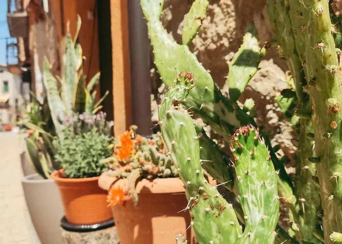 Encanto Rural Con Gran Terraza Appartement La Puebla De Castro